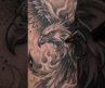 Phoenix Rising — Black & Grey Tattoo Transformation.