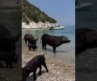 ​5 BEST Beaches in Lefkada, Greece You MUST Visit! 🇬🇷 @genuin.89
