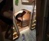 Unique Capsule Hotel at Taipei Airport🤔 #travel #capsulehotel