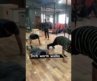 Inch worm walk | strength and conditioning workouts – Gym and fitness center in Madhapur Hyderabad