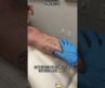 Fun tattoo #foryou #tattoo #fyp #usa #funny