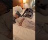 Terrifying Creature Comes After Sleeping Grandma | Ross Smith