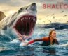 The Shallows : Deadly Scariest Shark Attack Scene | Blake Lively Survival | Hollywood Thriller Scene