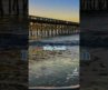 BEST Beaches in Charleston South Carolina!!