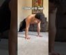 How to Feel Your Chest During Push Ups!