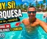 ¡HOY SÍ! 😍 El TURQUESA de Playa del Carmen vuelve a Playa 38 y Mamitas