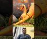 जिसकी जितनी लंबी पूंछ वो उतना बलवान ll Hollywood movie dubbed in Hindi