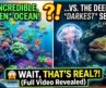 IN THE DEEP OCEAN/FULL HD