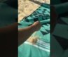 Is this beach blanket really sand-proof?