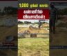 Erode | Farmers | 1,000 ஏக்கர் நாசம்! – கண்ணீரில் விவசாயிகள்! #shorts #erode