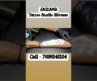 Shivaji Tattoo Professional Tattoo Shop in Silvassa Mob (7698545104) टैटू की दुकान टैटू वाला सिलवासा