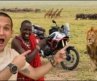 4 Days Inside Africa’s Greatest Wildlife Empire
