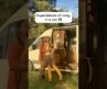 Expectations of living in a van💰💰 #vanlife #travel #adventure #love #money #australia #campervan