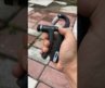 Hand Gripper #ytshorts #shortsfeed #health #fitness