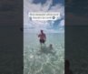 MOST BEAUTIFUL WHITE SAND BEACHES ON EARTH #destin #navarrebeach #seaside #bestbeachesintheworld
