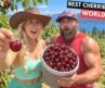 British Couple Find Out if MONTANA Really Has the WORLD’S BEST Cherries🍒