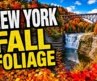 New York State Fall Foliage 🍁 25 Best Places to See Fall Colors | NY Road Trip | Worldly Traveler