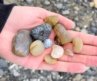 How to Find REAL Fossils at the Beach EASY! #shorts