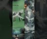 Hollywood Disaster Movie 😱🎬 | The Real Magic of VFX! #3danimation #trending #hollywoodvfx #vfxpro