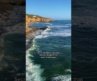 SD has the best beaches! #foryoupage #fyp #hiddengems… #Shorts #elisolanotravels