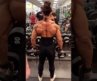 FBB 🔥🔥🔥 female bodybuilder workout #fbb #bodybuilder #biceps #fitness