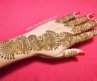 HENNA TATTOO MEHNDI ORLANDO FL USA | BRIDAL MEHENDI ARTIST ORLANDO FL USA HENNA PARTIES