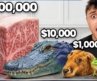 I Battled a Pro Chef With $1 vs $100,000 Exotic Meats!