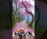 Top 5 Most Beautiful Place On Earth 🌎🥰( part-4)  #beautifulplaces #shorts #beautifulnature #nature