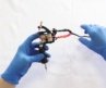Beginner Tattoo Kit with One Tattoo Machine | Wormhole Tattoo