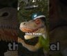 Dino Robot Hotel