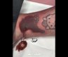 Don’t Do THIS To Your New Tattoo