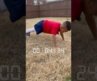 7 year old fitness guru! #fitness #abs #workout #kidsworkouts #bodyweight #fullbodyworkout #kids