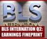 BLS International Q2: Growth, Revenue & More | Shikhar Aggarwal | Business News