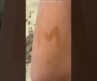 Watermark tattoo designs