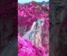 The Most Beautiful Places in China 🇨🇳✨🤩 #china #travel #explore #nature