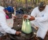 Sinaloa: How Mexico’s Most Powerful Cartel Built a Global Empire