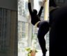 Window Bend Over Stretching Pose Yoga #shorts #yoga #short #youtubeshorts #shortvideo #ytshorts