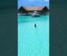 Beautiful Maldives in the 5* resort Como Cocoa Island 🤩🏝️ #maldives #luxurytravel #bestresorts