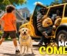 😂 This COMEDY Is So Funny You’ll Want to Watch It Again | Dog Gone | Full Movie