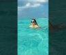 Is This the Most Perfect Bikini Beach in the Caribbean? ☀️ #shorts
