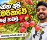 Best Apple Picking in Wisconsin 🍎 | Fall Orchard Adventure