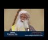 Don’t travel on the path of yoga, Take Yoga with you!  Sadhguru
