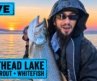 Live from Flathead Lake Day 3 Finale – Montana Lake Trout Marathon Whatever Bites