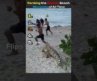 Ranking the wildest beach moments of all time
