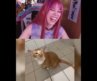 Esto ya es CINE 😸📽️