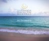 Welcome to the Sivananda Ashram Yoga Retreat Bahamas