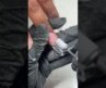 Nail Art !! Best time-saving hack #nailhacks #efiletech #nailtech #fyp #usa