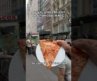 pov: you grab a $5 plain slice from joes in nyc #nyc #pizza #streetfood #nycfood #foodie #pov #food