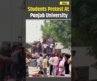 Punjab University Protest: LPU Students Holds Protest, Block Highway Over Unverified R*pe Claim