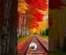 Discover Canada’s Most Beautiful Places 🇨🇦 | Bucket List Destinations You Can’t Miss!